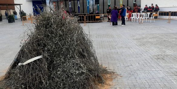 WhatsApp Image 2026-02-16 at 11.35.05